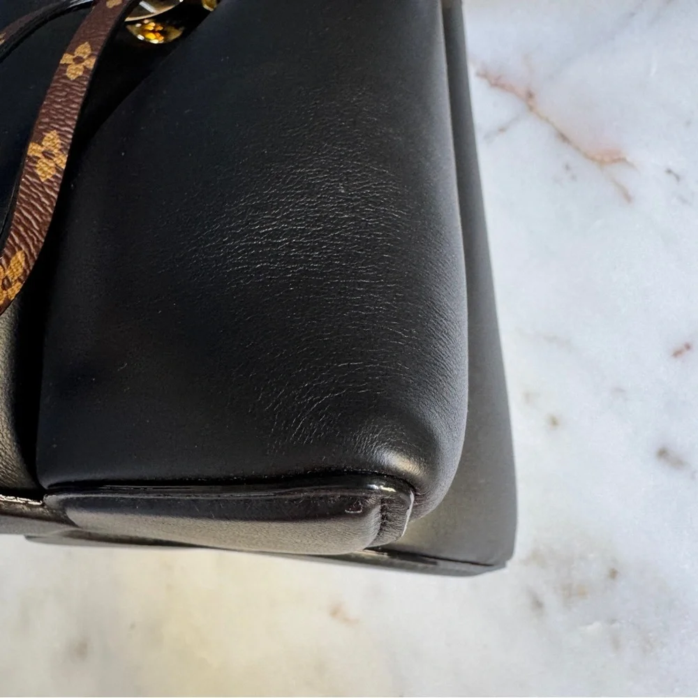 Louis Vuitton Bloom PM Bucket Bag